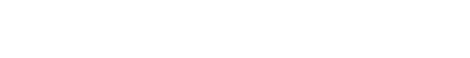 LOGO BISONTE